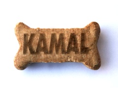 kamal